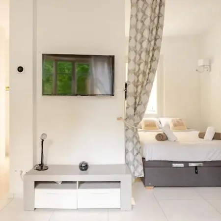 Apartment Centre Croisette Cannes